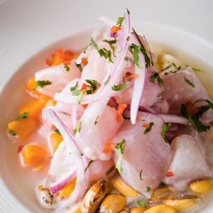 ceviche-portrait ceviche-portrait